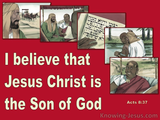 Believe That Jesus Is The Son Of God Verse