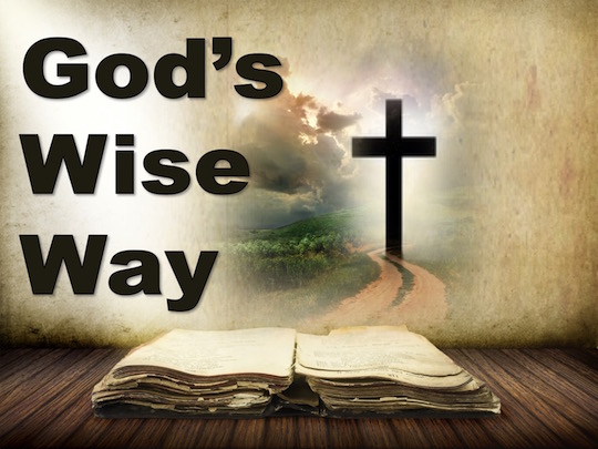 God's Wise Way - Daily Devotional