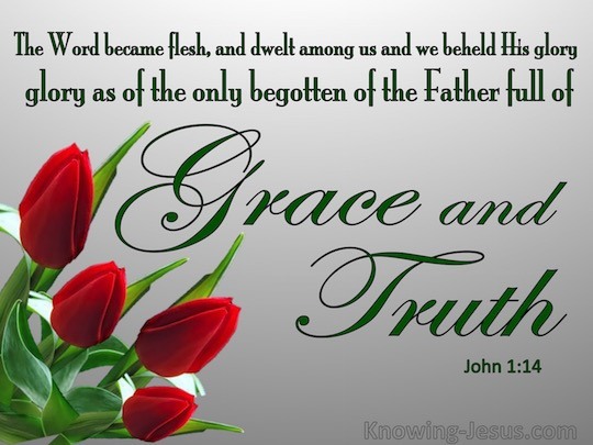 John 1:14b Verse Of The Day