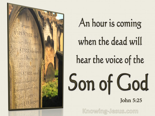 john 5 25-29 meaning