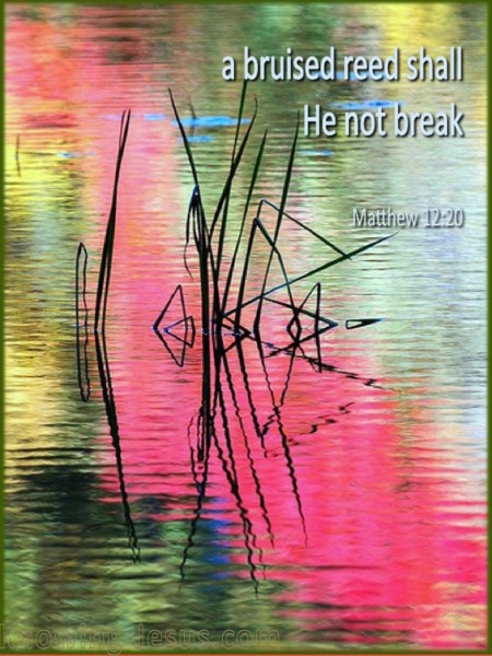 The Bruised Reed Daily Devotional