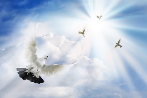 Prepared To Meet God