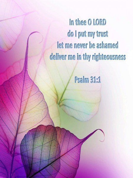 psalm-31-1-verse-of-the-day