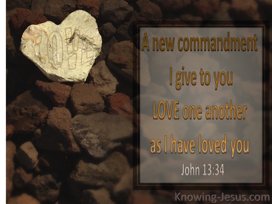 John 13:34 - Verse of the Day