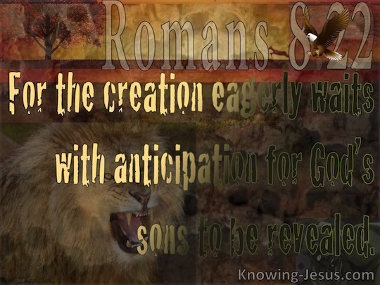 romans-8-22-verse-of-the-day