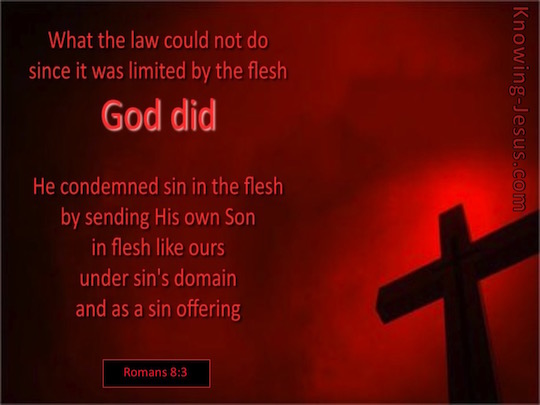 romans-8-3-verse-of-the-day