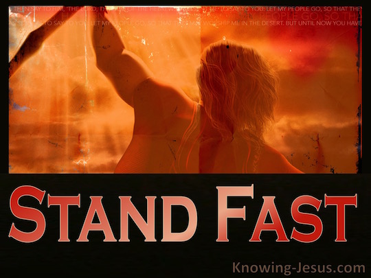 stand-fast