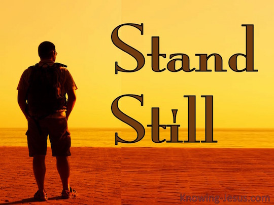 stand-still-daily-devotional