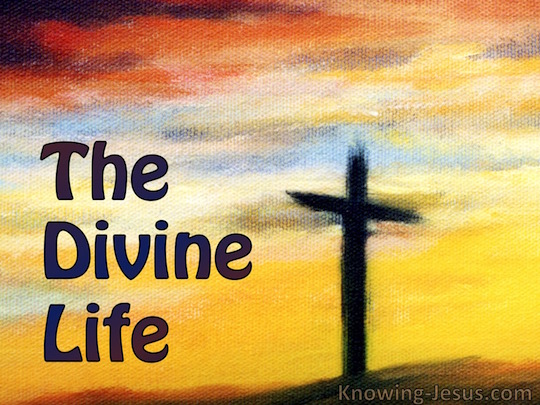 The Divine Life