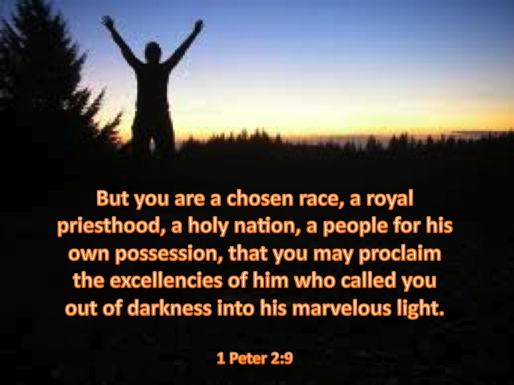 1 Peter 29 But You Are A Chosen Race A Royal Priesthood A