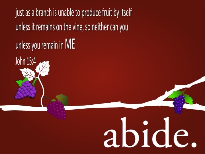 john-15-4-abide-in-me-and-i-in-you-as-the-branch-cannot-bear-fruit-of