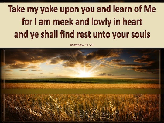 Matthew 11:29 Take My yoke upon you and learn from Me, for I am gentle ...