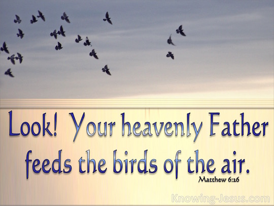 Matthew 6:26 