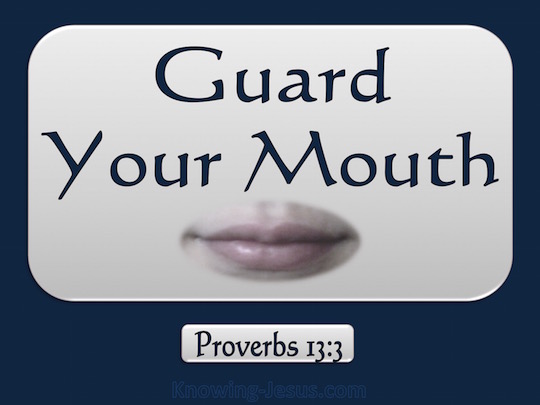 Proverbs 13:3 The one who guards his mouth preserves his 