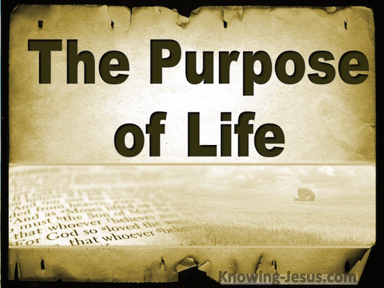 The Purpose of Life